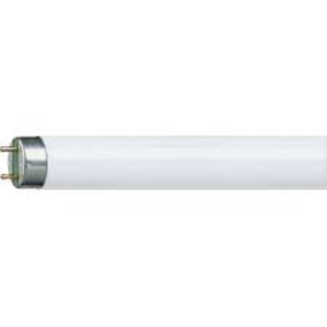 OSRAM 4FT FITTING C/WHITE TUBE